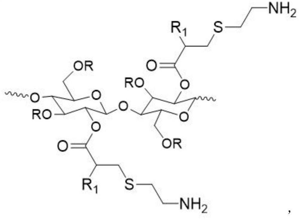 Amino cellulose and preparation method thereof