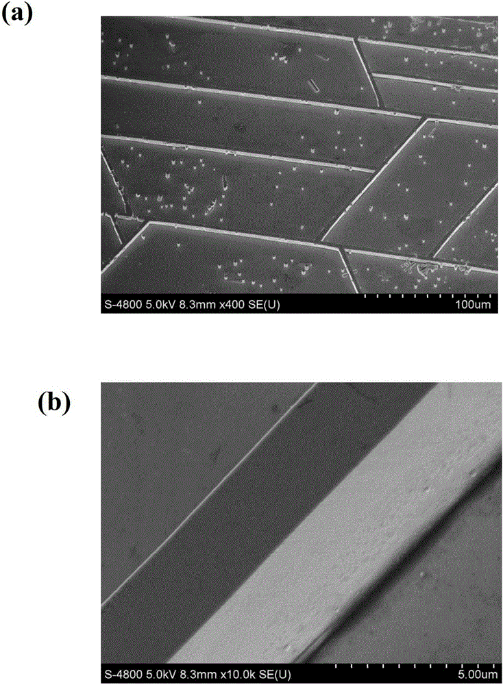 A method for large-area growth of zinc oxide micron walls