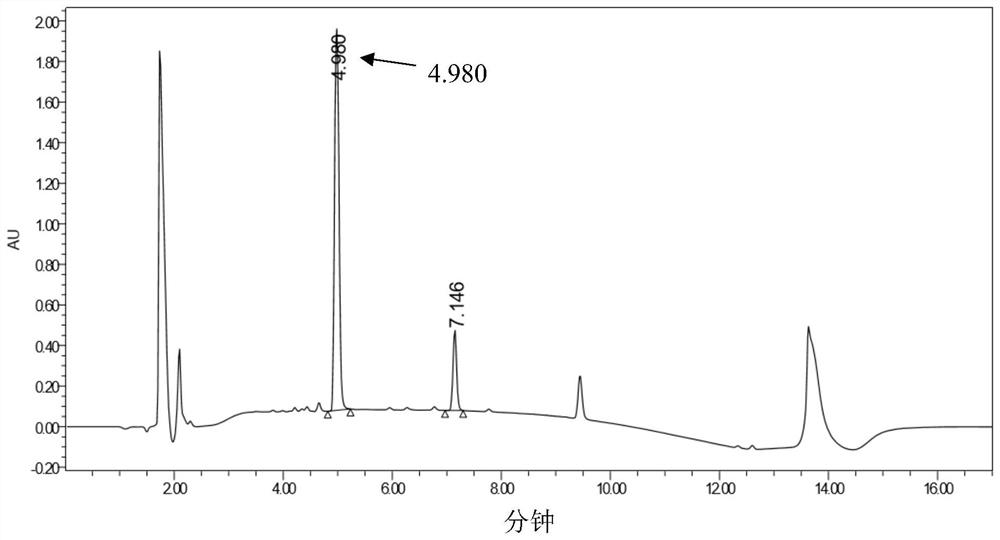 Transaminase and application thereof in preparation of (R)-alpha-methyltryptamine compound