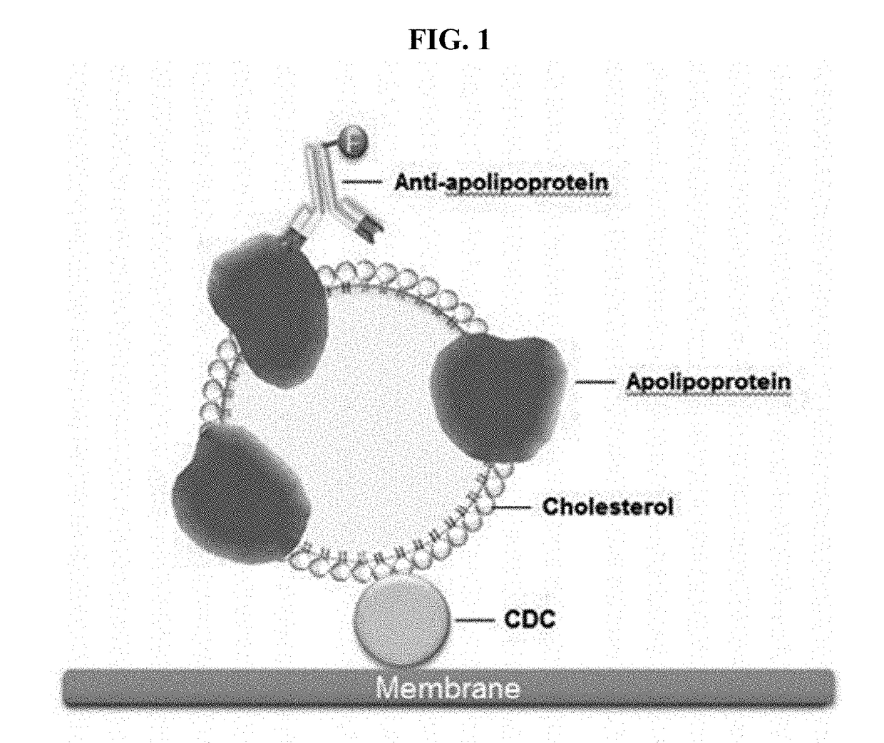 METHOD OF USING CDCs TO DETECT CHOLESTEROL IN A SAMPLE