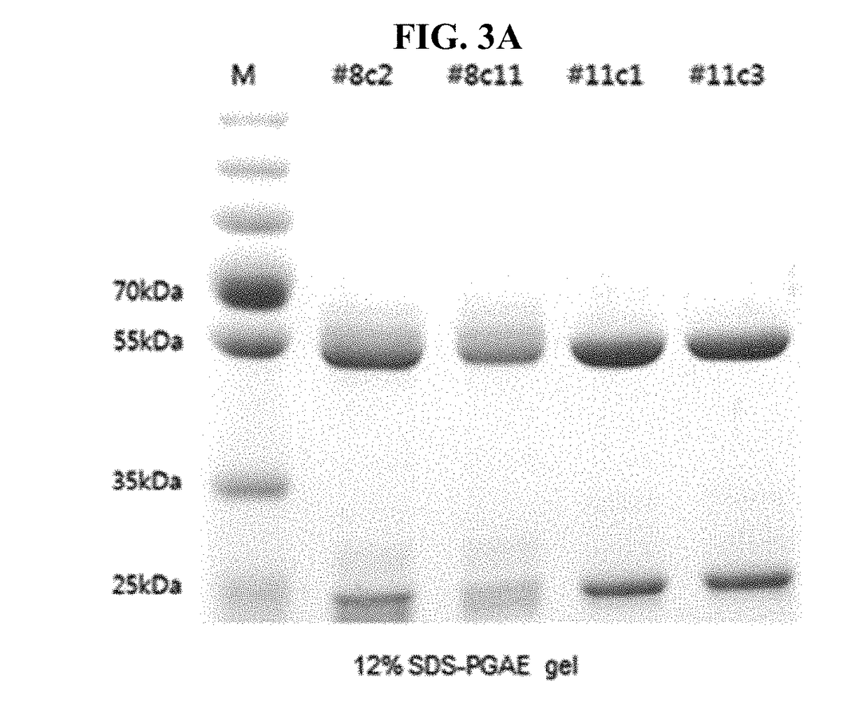 METHOD OF USING CDCs TO DETECT CHOLESTEROL IN A SAMPLE