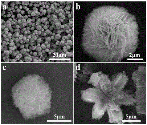 A kind of ultra-high sensitivity noble metal-modified zno micro-nano hierarchical structure and its preparation method