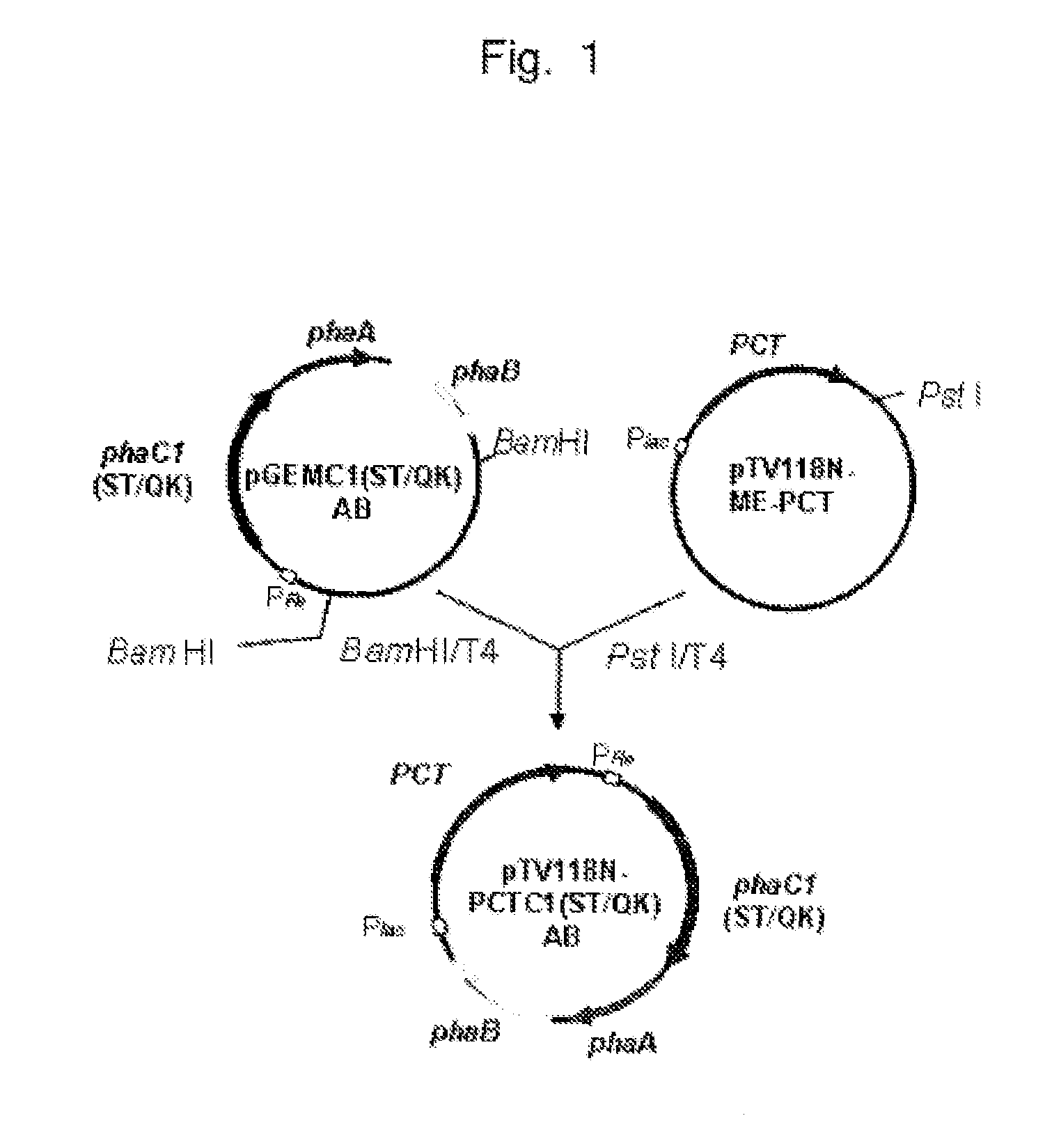 Method for production of polyester copolymer using recombinant microorganism
