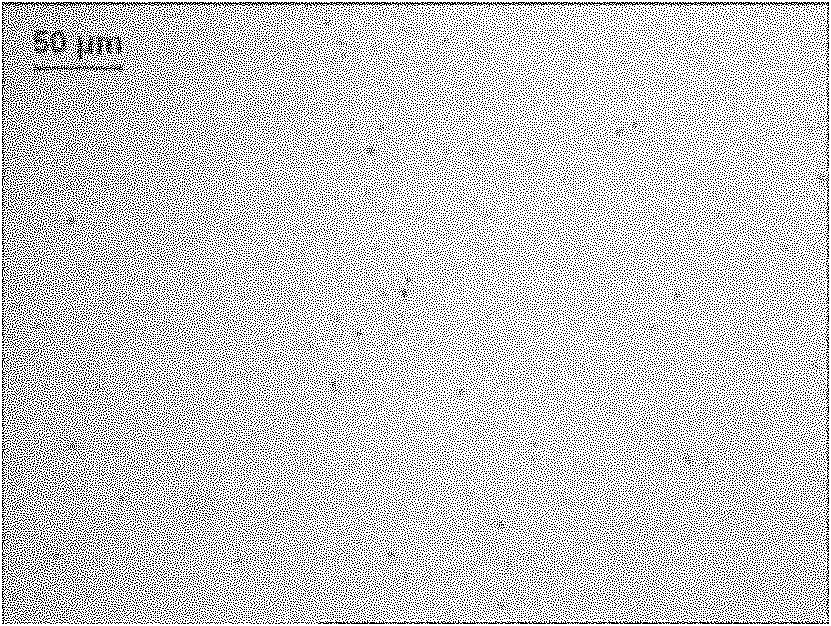 Boron-doped glass carbon material and preparation method thereof