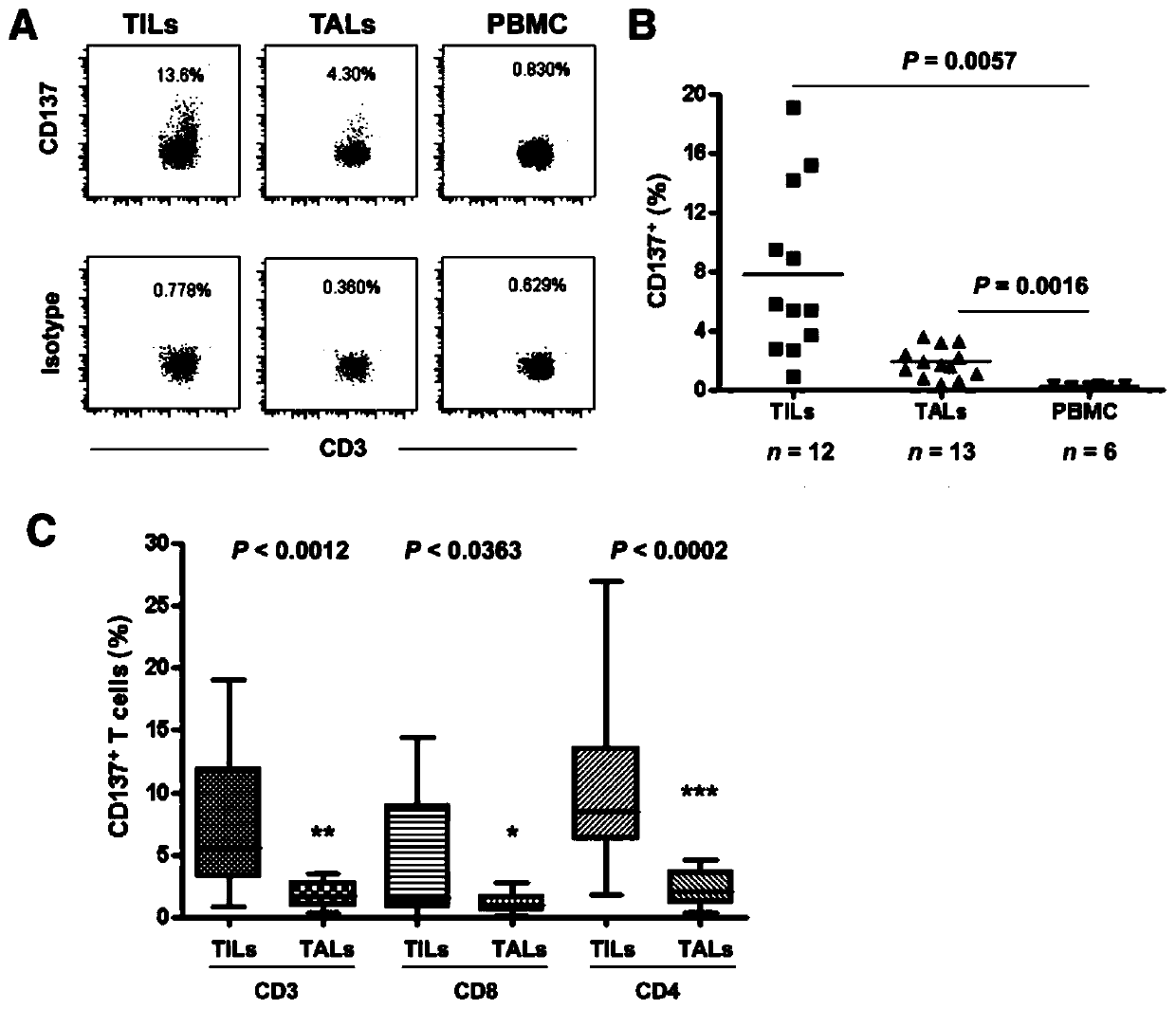 Cell subset for immunotherapy of primary hepatocellular carcinoma and preparation method thereof