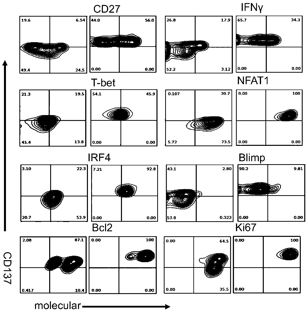 Cell subset for immunotherapy of primary hepatocellular carcinoma and preparation method thereof