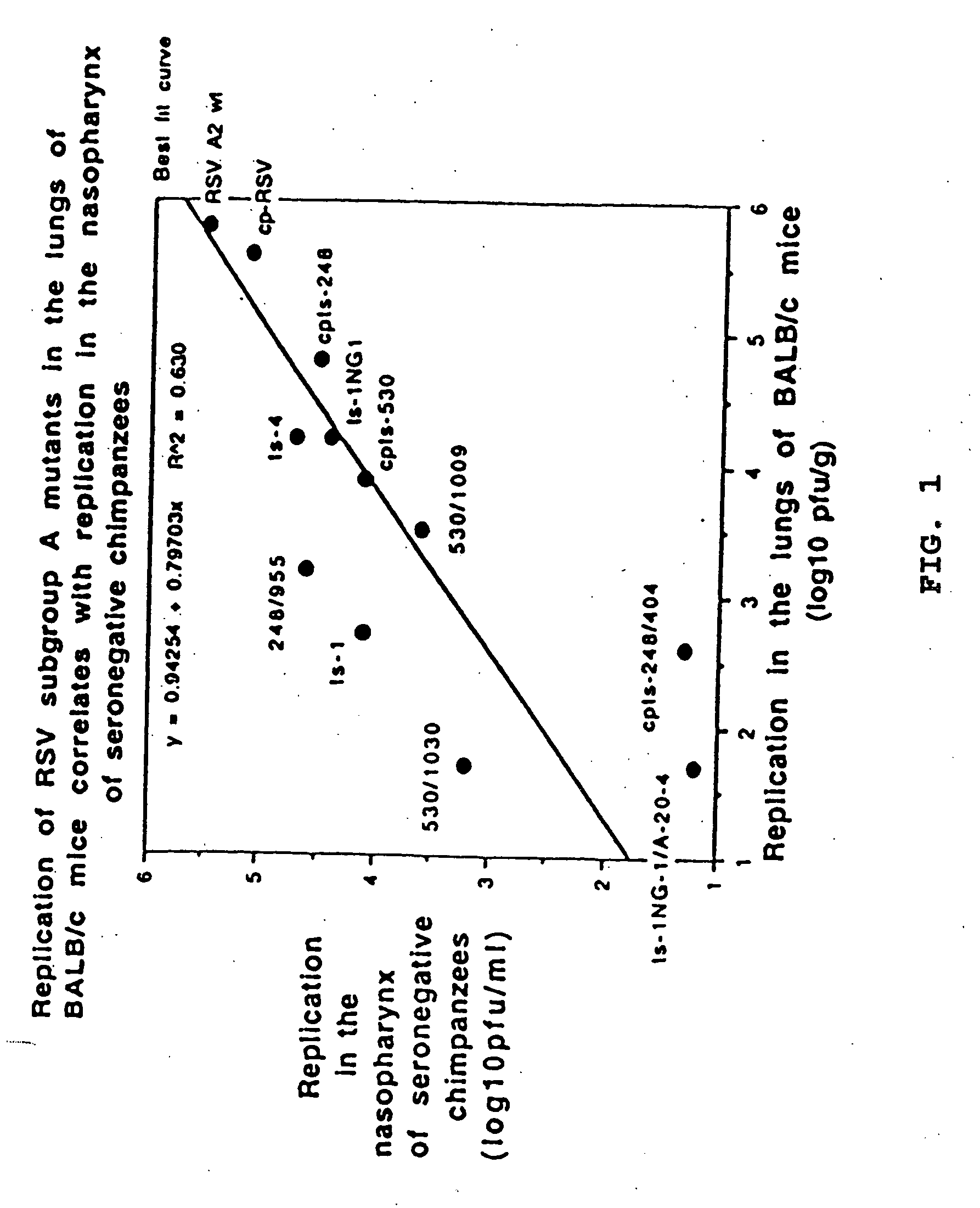 Production of attenuated respiratory syncytial virus vaccines from cloned nucleotide sequences