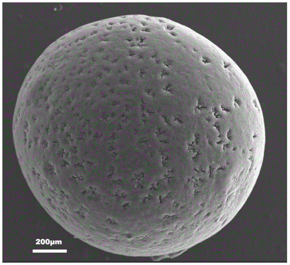 A preparing method of a porous carbon nanotube-charcoal spherical composite material