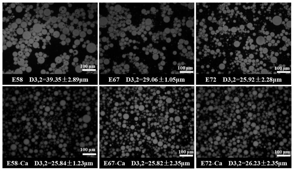 Emulsion Gel and Its Preparation