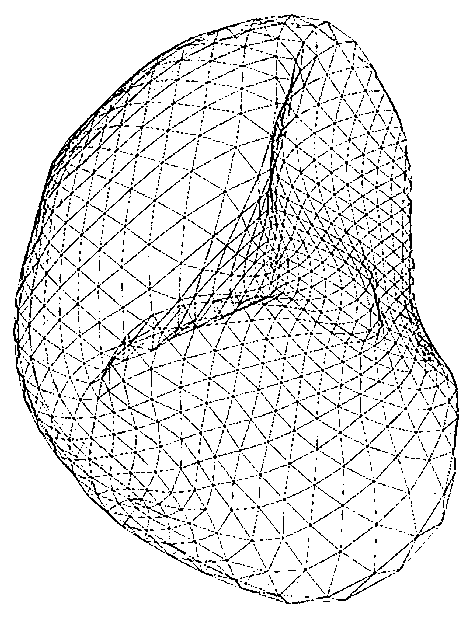 A Method for Setting the Initial Pose of Liver Statistical Shape Model