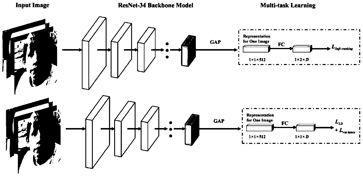 Age prediction method based on hybrid double models
