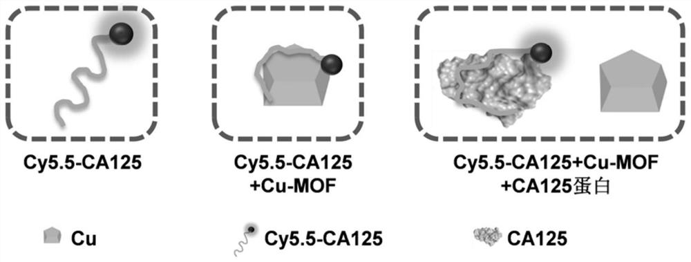CA125 detection kit based on Cu-MOF and application of CA125 detection kit