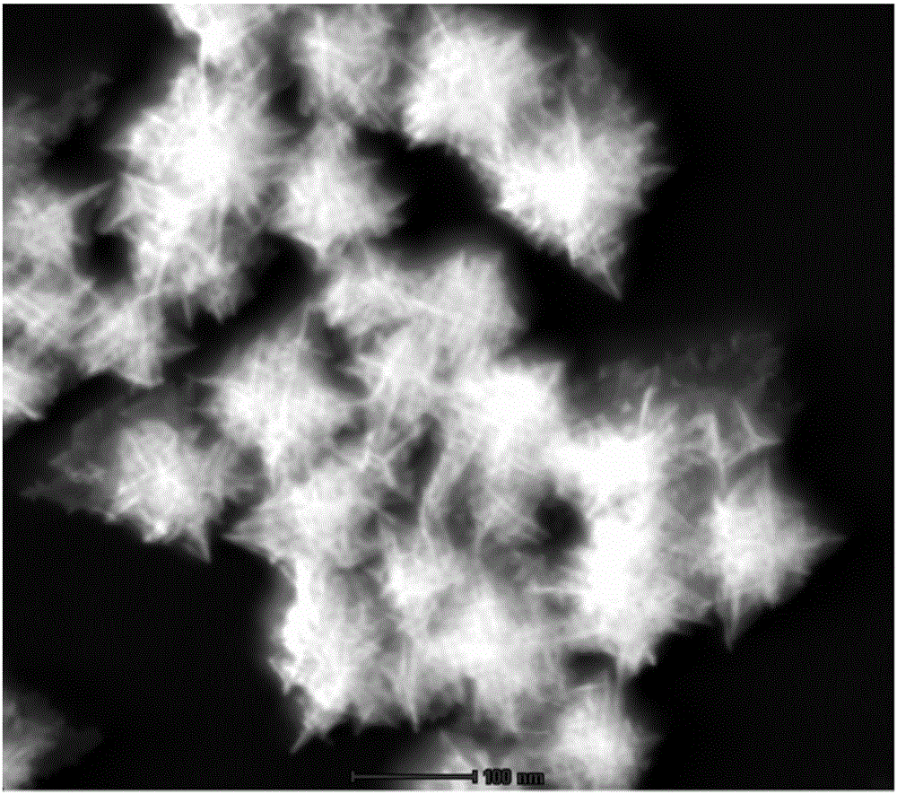 Preparation method of Rh nanoflower electrocatalyst for alkaline direct methanol fuel cell