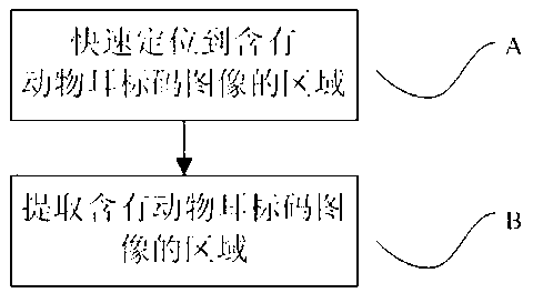 Rapid coarse positioning method for animal ear tag code images