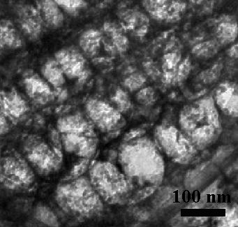 A method for preparing sulfur-based positive electrode materials using mesh-like porous nano-lanthanum oxide