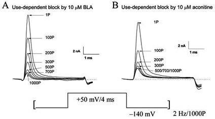 Application of bulleyaconitine A used as state-independent sodium ion channel blocker to analgesia