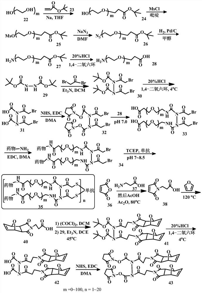 Bridge linkers for conjugate coupling of cell-binding molecules