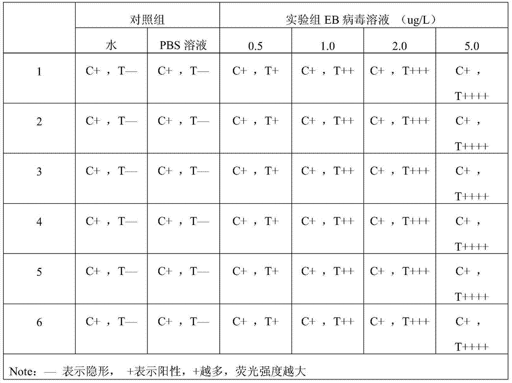 Method for detecting EB (Epstein-Barr) virus, quantum dot labelled immunochromatographic test strip and preparation method thereof