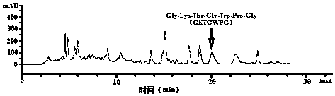 A kind of tuna fish bone collagen source zinc chelated collagen peptide and its preparation method and application