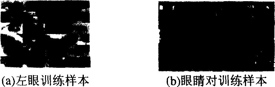 Method of robust accurate eye positioning in complicated background image