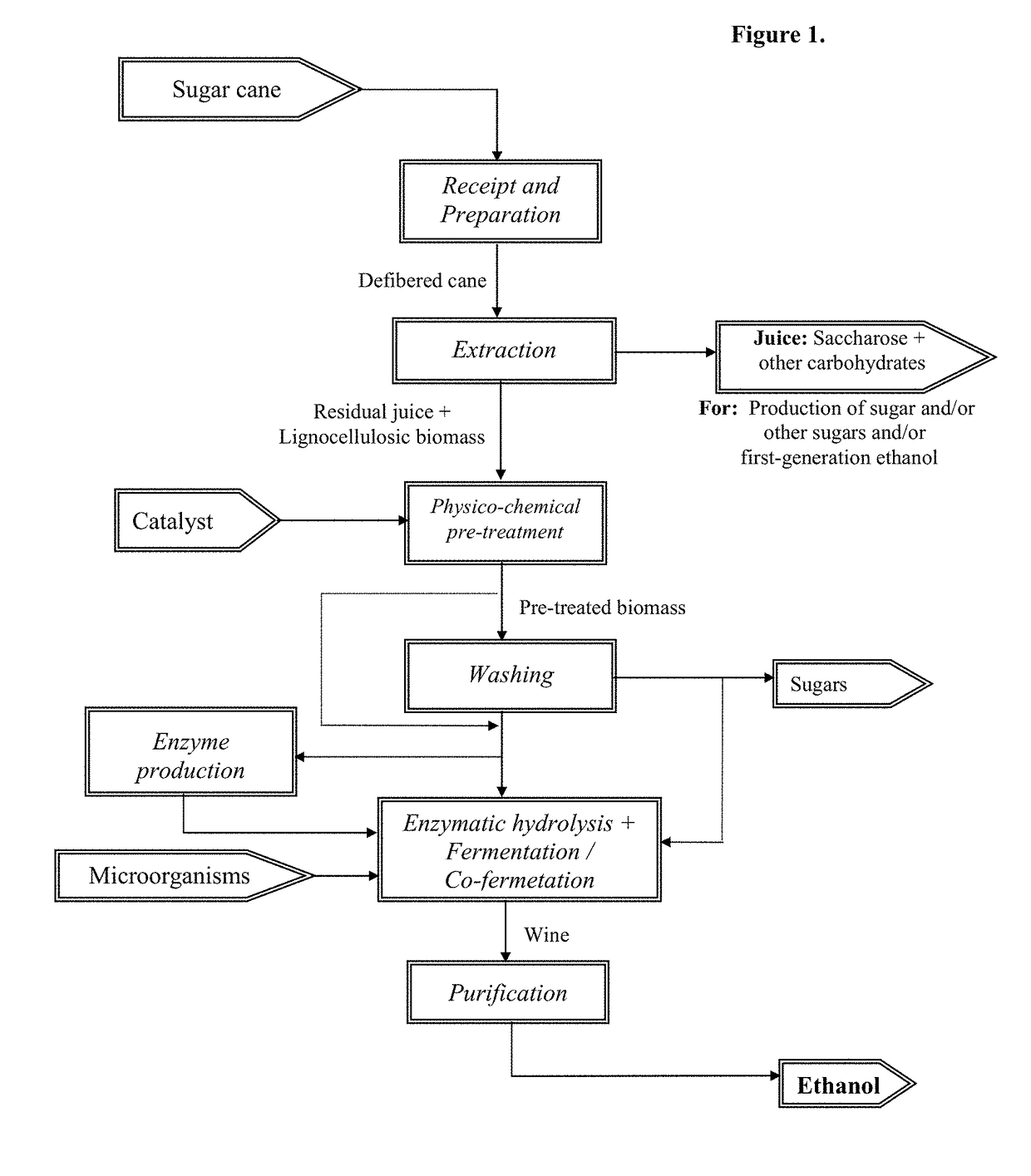 Method for processing vegetable biomass