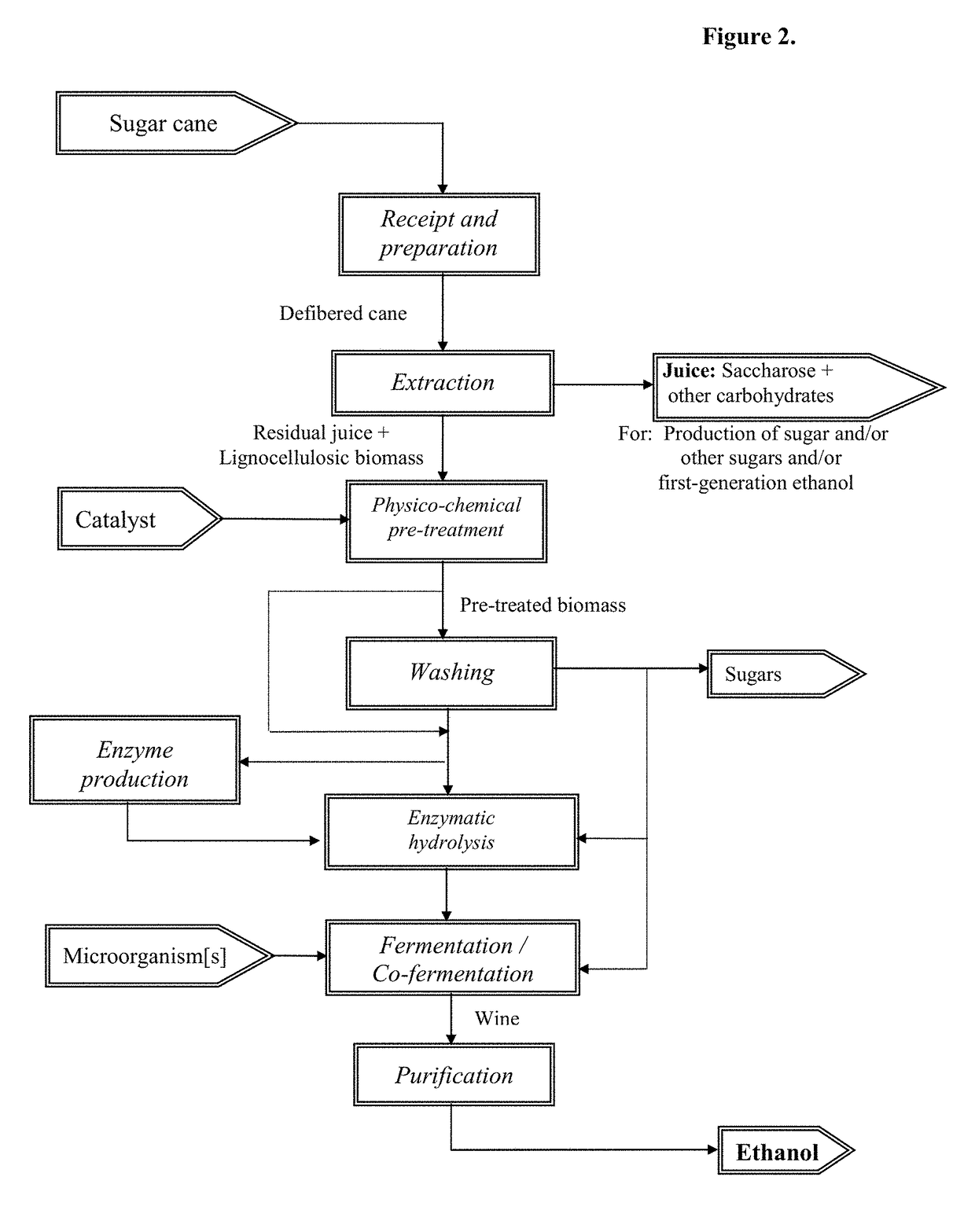 Method for processing vegetable biomass