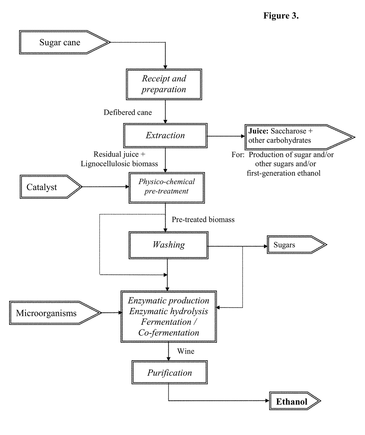 Method for processing vegetable biomass