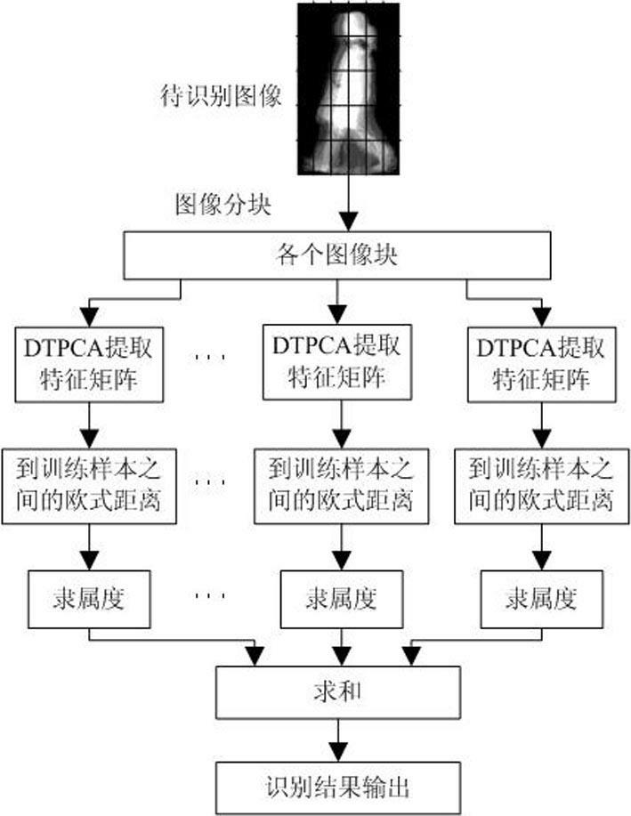 Gait identification method of bidirectional two-dimensional principal component analysis based on fuzzy decision theory