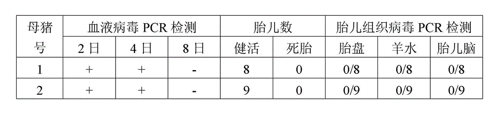 Low virulent strain of pig Japanese encephalitis virus