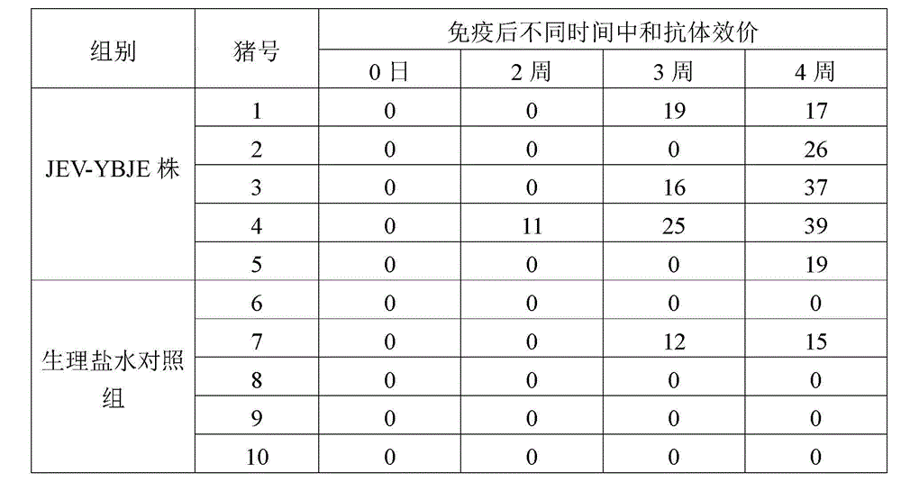 Low virulent strain of pig Japanese encephalitis virus