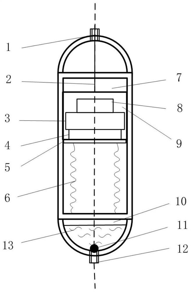 A drug-releasing capsule for visualization of digestive tract sampling