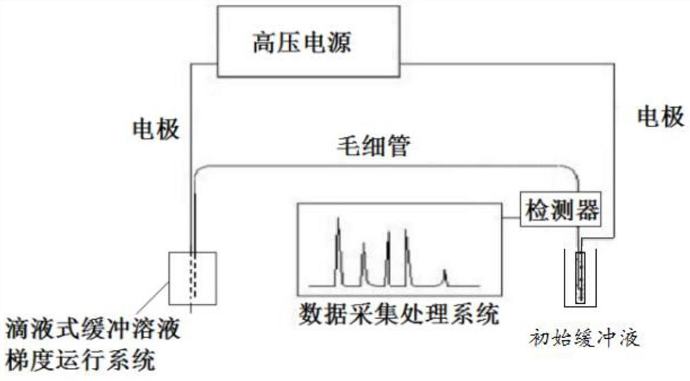 A drop-type buffer solution gradient operation system and its operation method