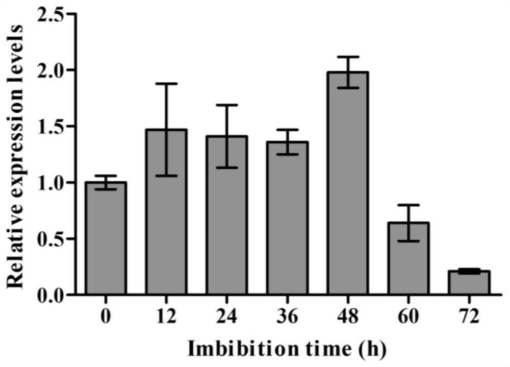 Application of Rice Auxin Glycosyltransferase Gene