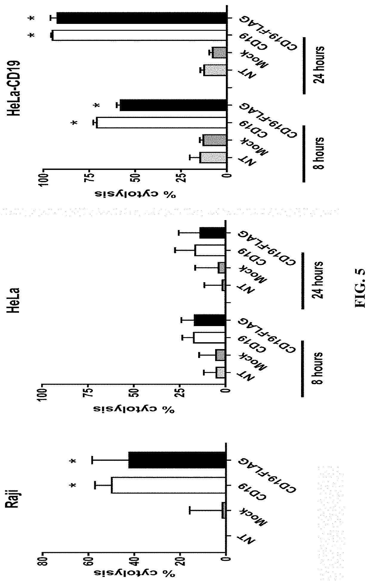 Flag tagged CD19-CAR-T cells