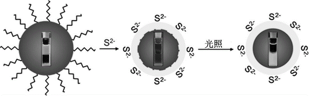 Method for preparing CdSe/CdS nuclear shell semiconductor quantum dots at normal temperature