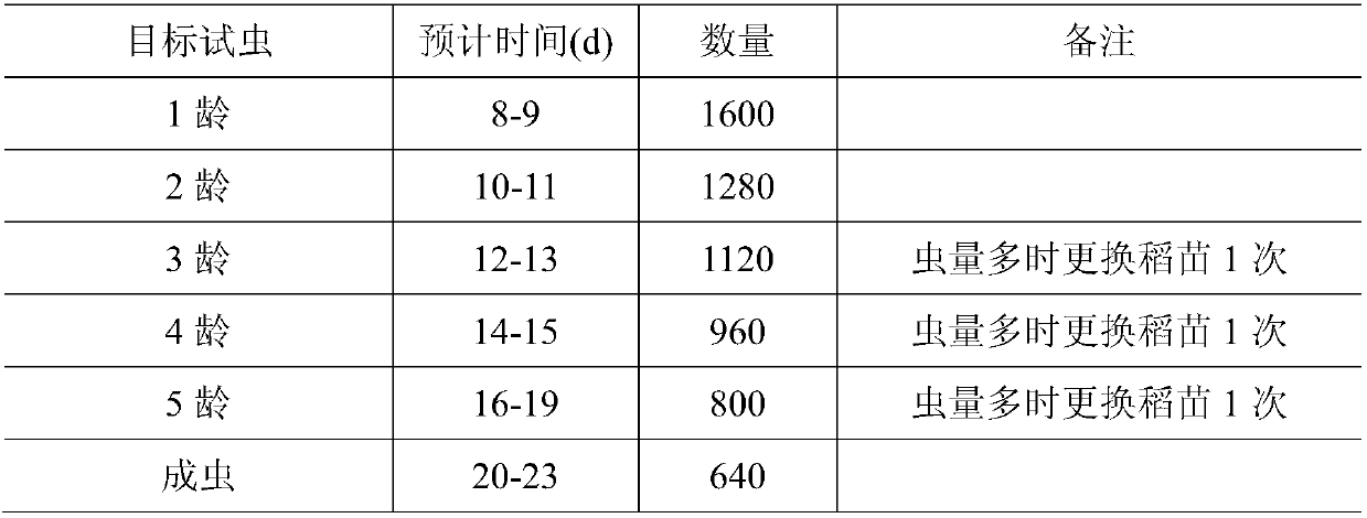 Indoor rice planthopper breeding method and device and application of breeding device