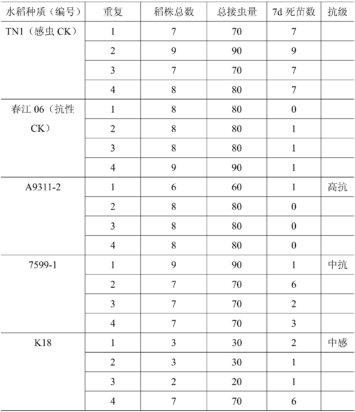 Indoor rice planthopper breeding method and device and application of breeding device