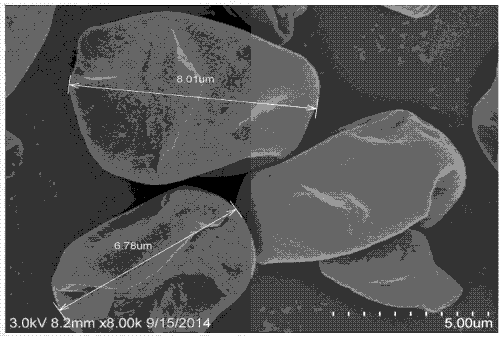Preparation method of high-activity microencapsulated lactic acid bacteria starter