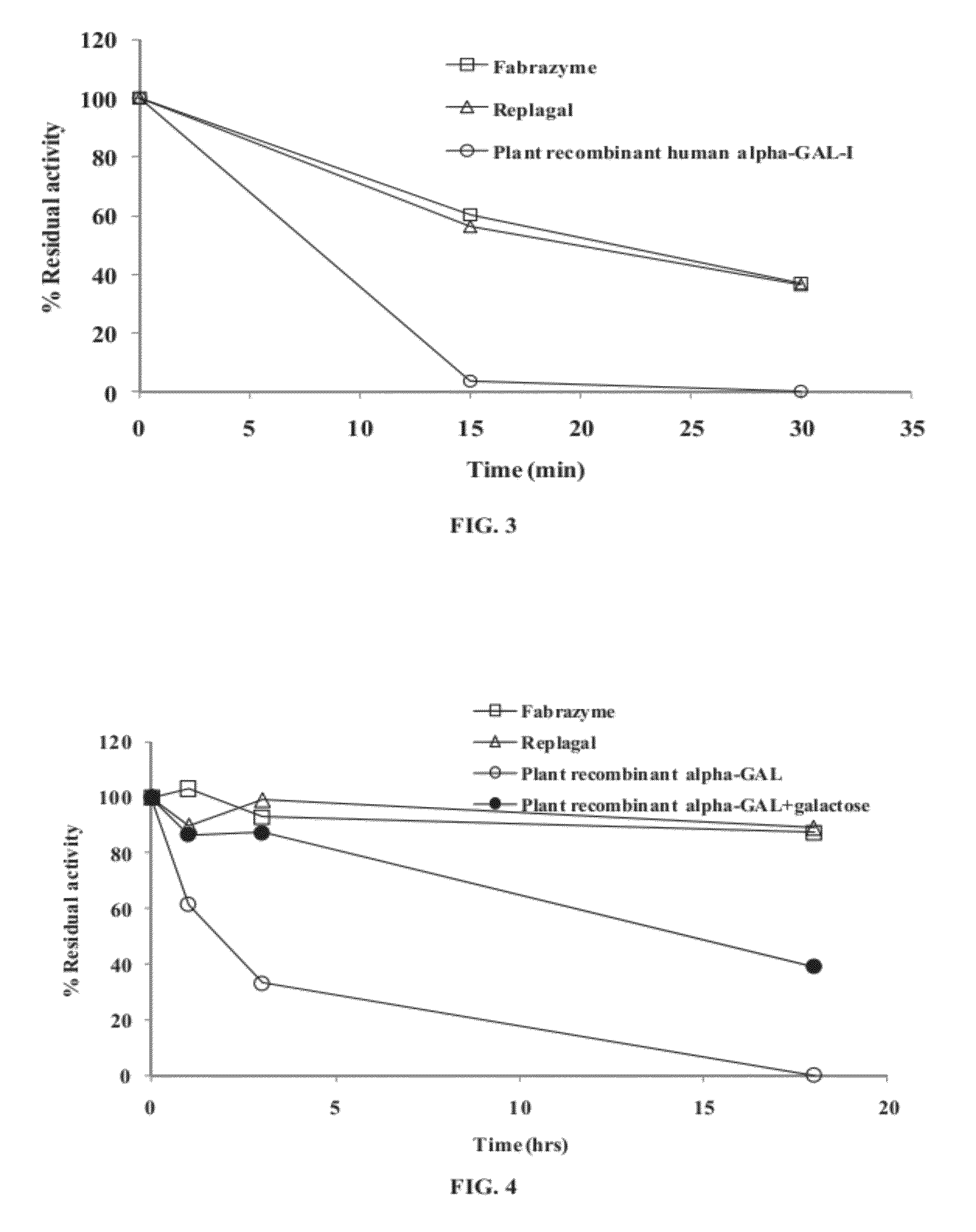 Stabilized alpha-galactosidase and uses thereof