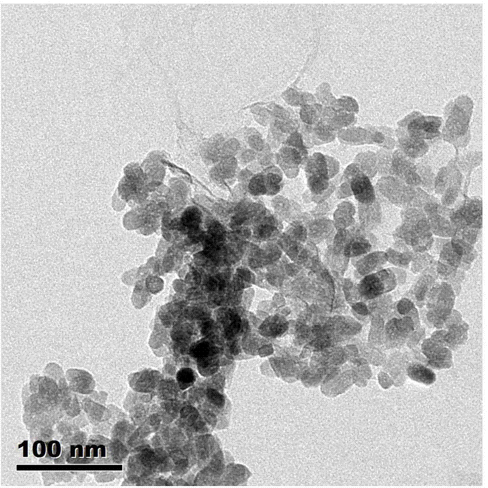 Composite positive electrode material and preparation method thereof