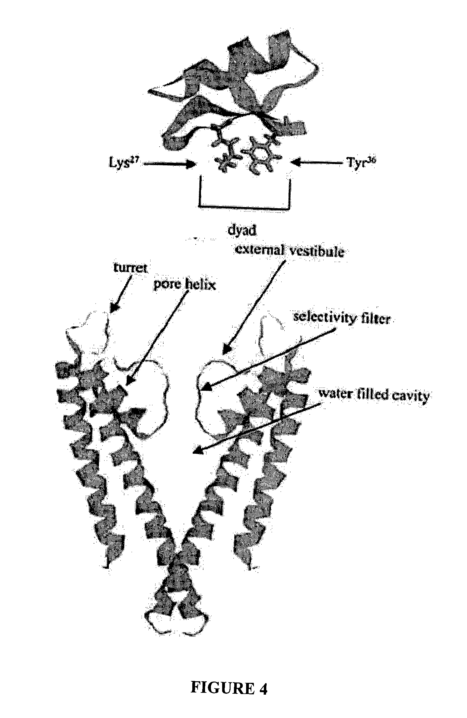 Modified peptide toxins