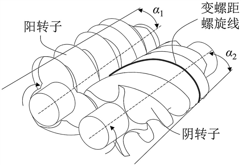 Variable-line double-screw rotor and design method thereof