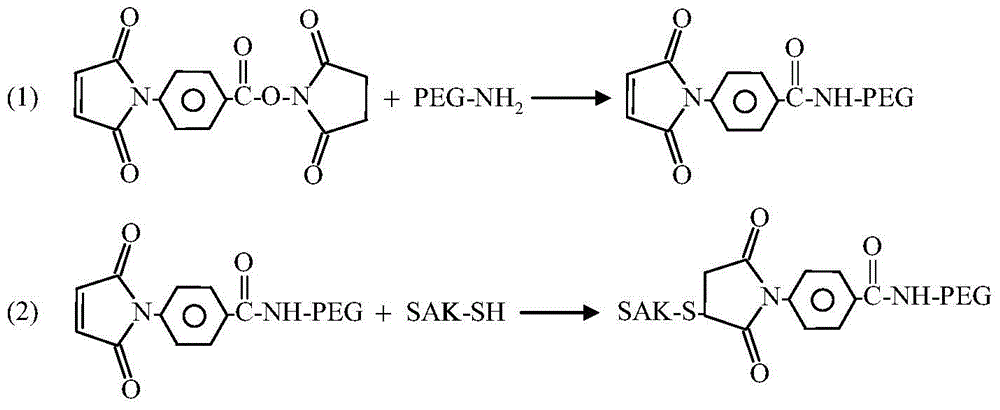 Method and Application of Heat Treatment to Improve Biological Activity of Pegylated Staphylokinase