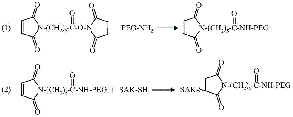 Method and Application of Heat Treatment to Improve Biological Activity of Pegylated Staphylokinase