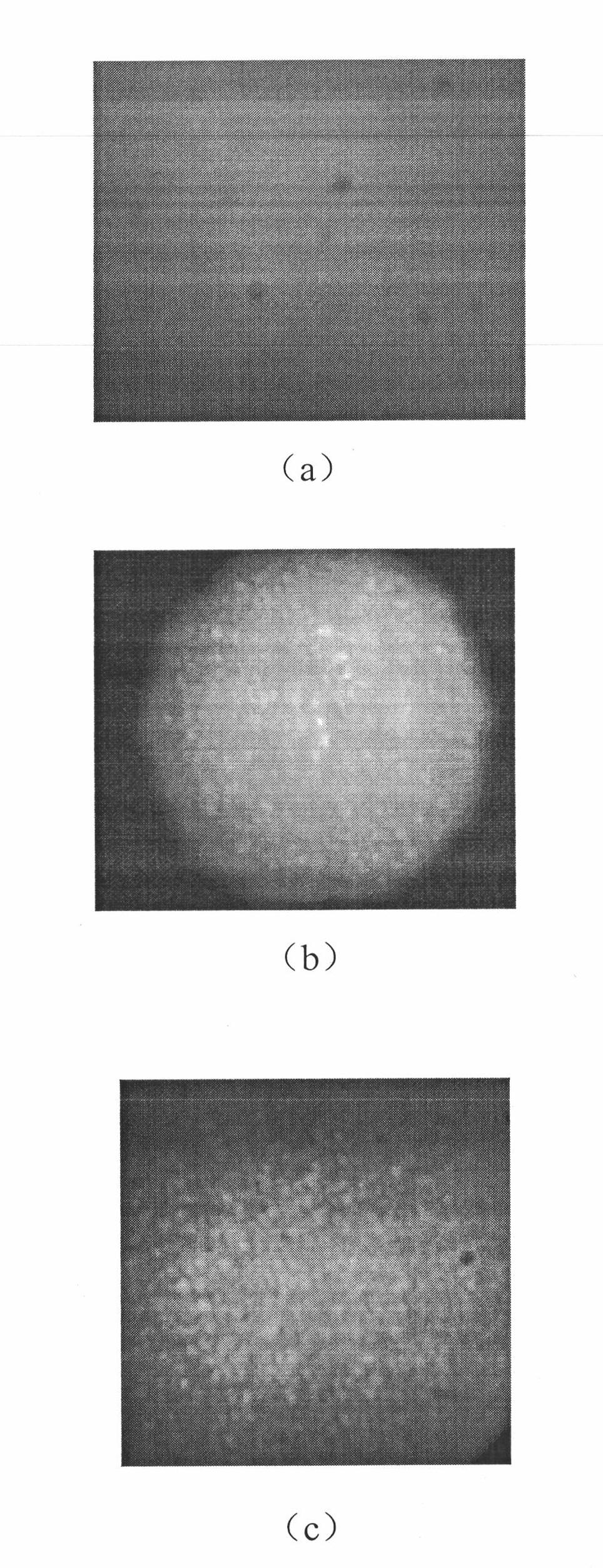 Liquid crystal adaptive aberration correction retinal imaging device with high-efficiency utilization of energy