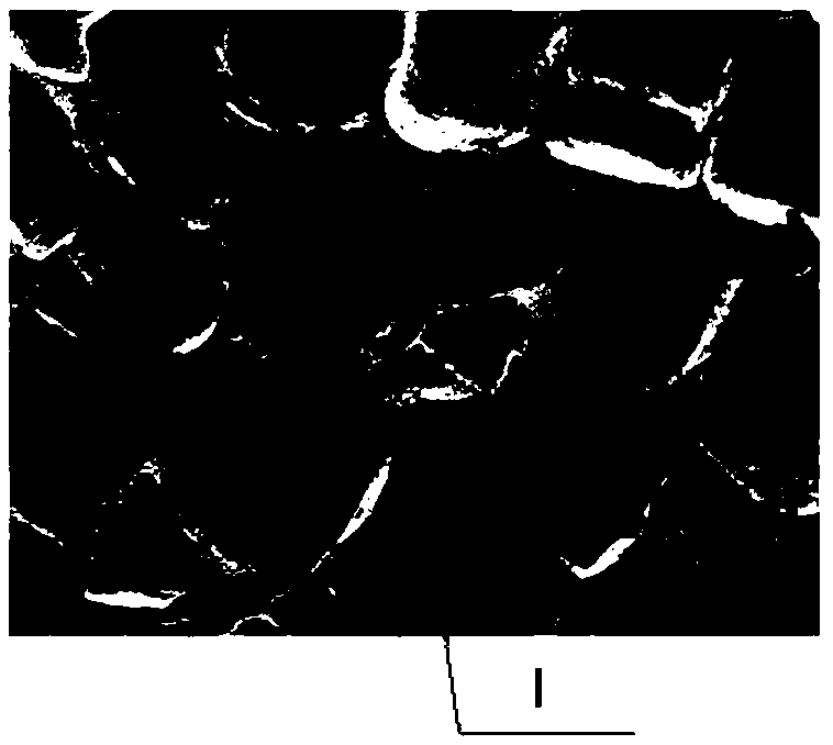 A flexible nano-triboelectric generator, its preparation method and the fabricated sensor