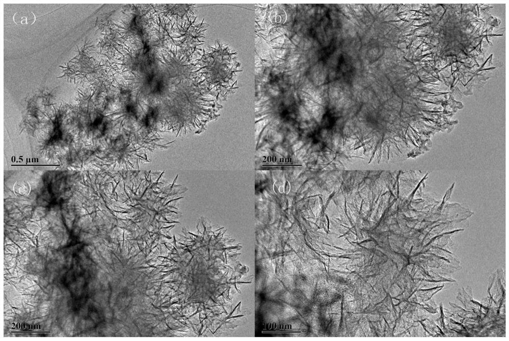 A kind of non-noble metal nitrogen-doped MOF double-effect electrocatalyst and preparation method thereof