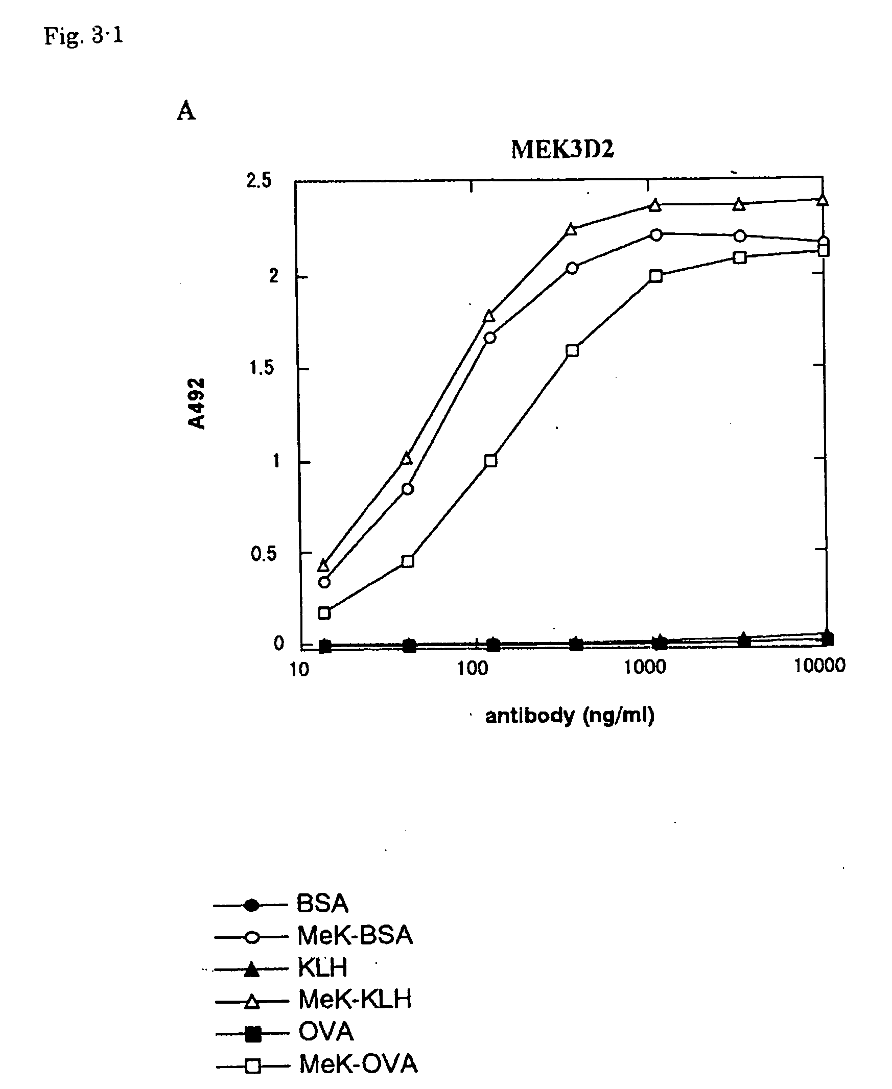 Antibodies recognizing methyllysine, process for producing the same and utilization thereof