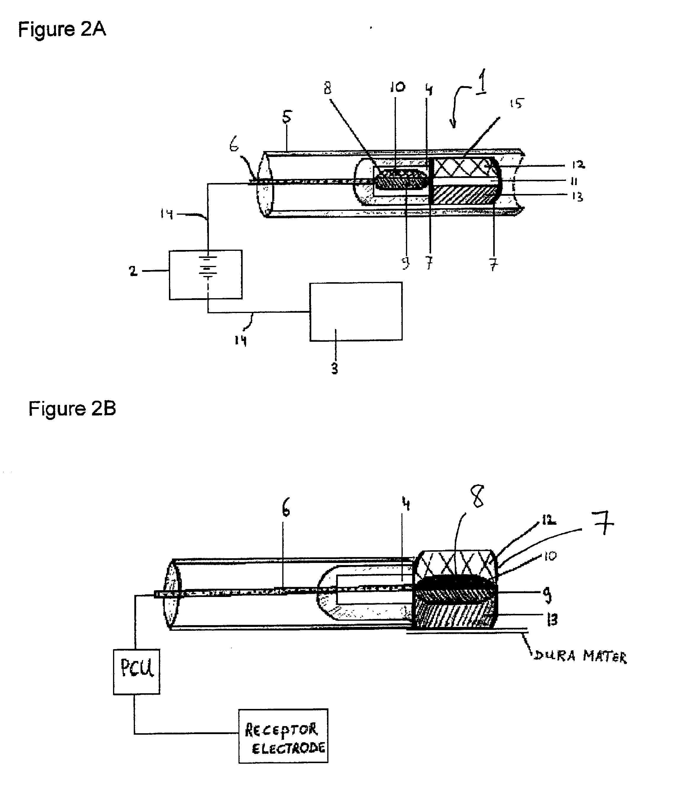 Method and device for enhanced delivery of a biologically active agent through the spinal spaces into the central nervous system of a mammal