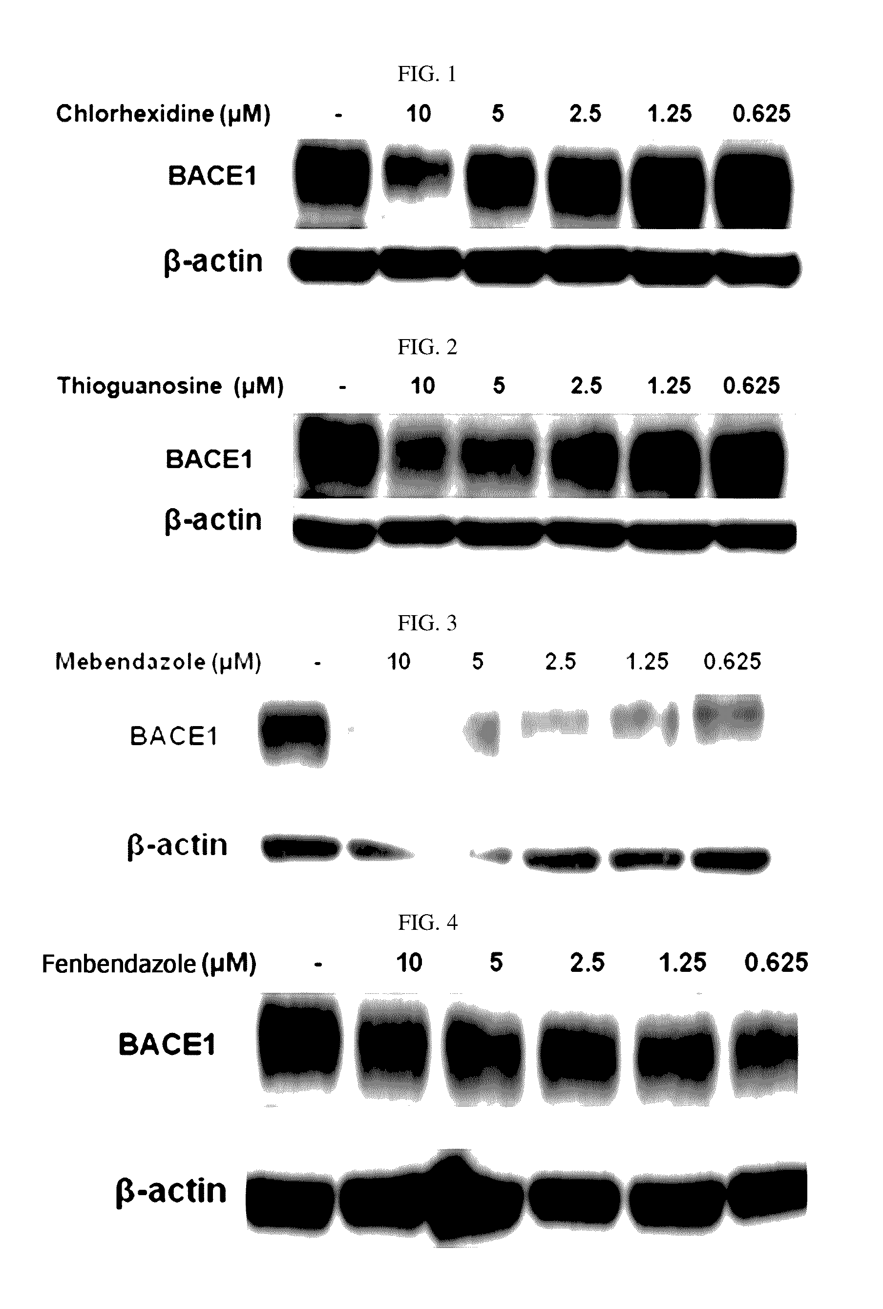 Composition for preventing or treating degenerative brain diseases including compound downregulating expression of BACE1 proteins